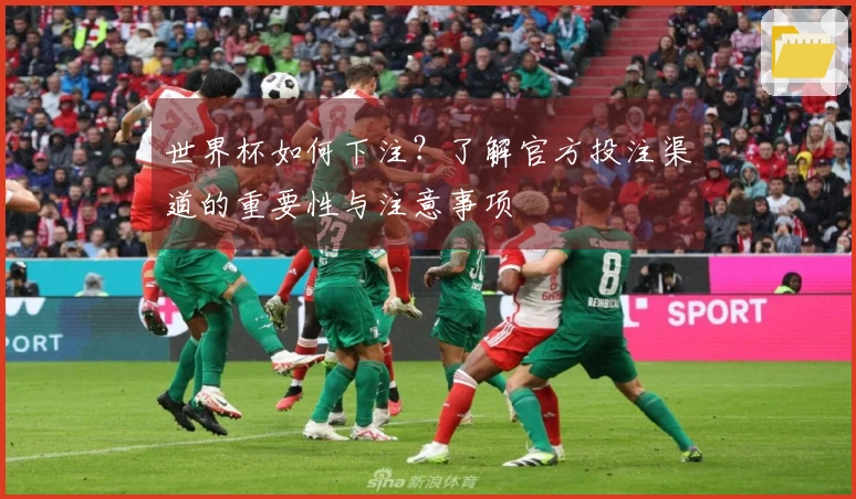 世界杯如何下注？了解官方投注渠道的重要性与注意事项