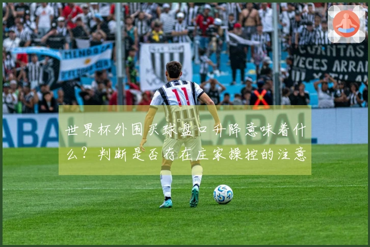 世界杯外围买球盘口升降意味着什么？判断是否存在庄家操控的注意事项